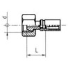 Terminal Hembra Recta BSP