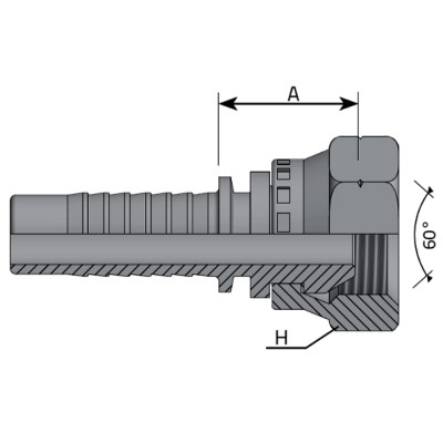 Hembra Recta Prensar Métrica 60