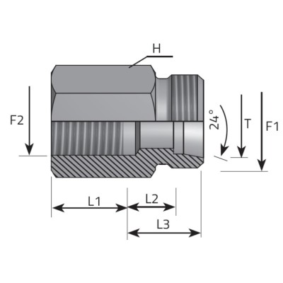Adaptador Suplemento Macho Tubo L - Hembra BSPP
