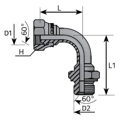 Codo 90º Macho - Tuerca Loca BSP 60º Accesorial