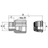 Adaptador Weo Rosca Macho BSP