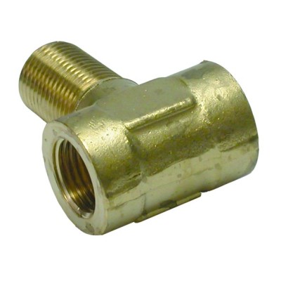 TE Pasamuros Macho Central - Hembra