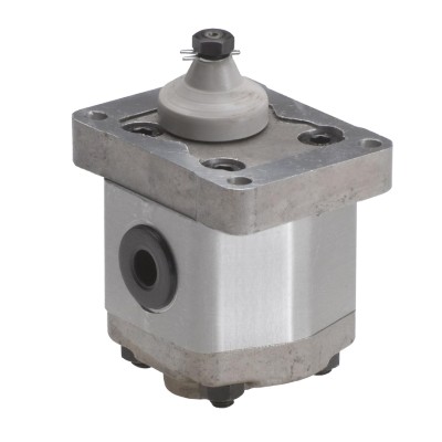 Bomba Engranajes G1 Tapa Europea