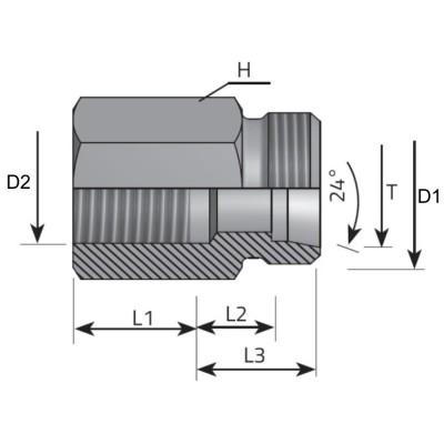 Adaptador Suplemento Macho Tubo S - Hembra BSPP
