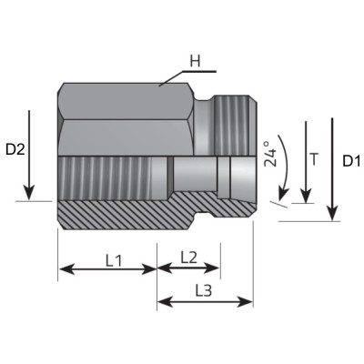 Adaptador Suplemento Macho Tubo L - Hembra BSPP