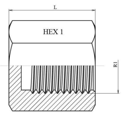 Tapón Hembra Fija (Pulgadas)