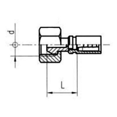 Terminal Hembra Recta BSP