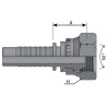 Hembra Recta Prensar Métrica 60