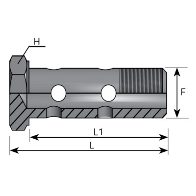 Tornillo Doble BSP
