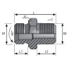 Adaptador Macho BSP Macho BSPT