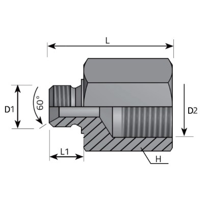 Adaptador Suplemento Macho - Hembra BSP