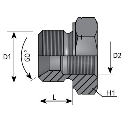 Adaptador Tapón Reductor Macho - Hembra BSP