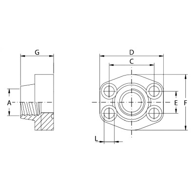 Brida SAE 6000 Psi - Rosca Hembra BSP