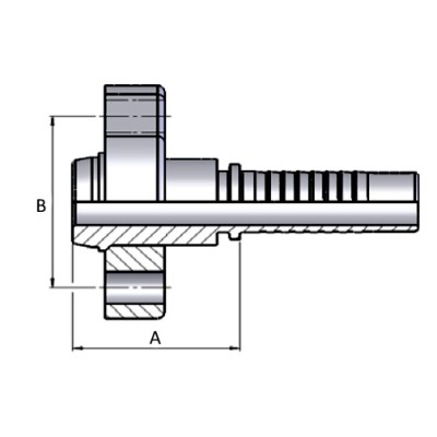 Brida Multiespiral Recta Macho