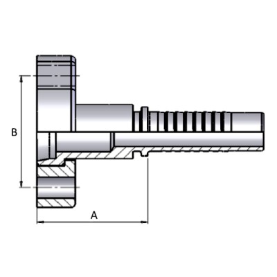 Brida Multiespiral Recta Hembra