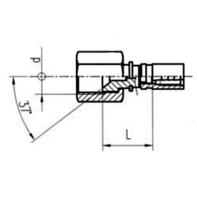 Terminal Minimess JIC