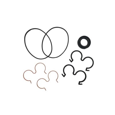 KIT Reparación Bomba BTD Engranaje